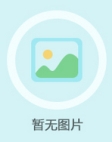 黨組成員、副會長：